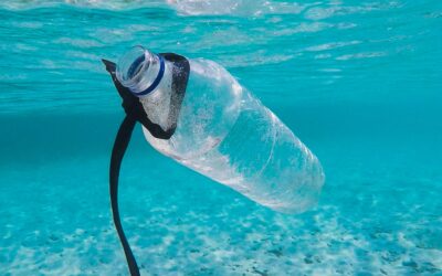 Plastic Pollution – A Ticking Time Bomb For the Ocean￼