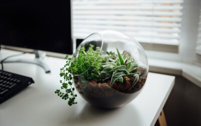 4 Practices For a Green Office￼