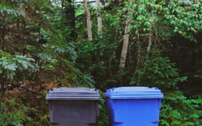 Reduce, Reuse, Recycle: How to Make Sustainable Waste Management Part of Your Lifestyle