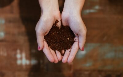 Harnessing the Power of Composting: How to Create Nutrient-Rich Soil