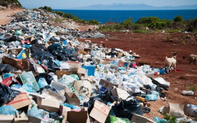 The Impact of Waste on the Environment: What You Need to Know