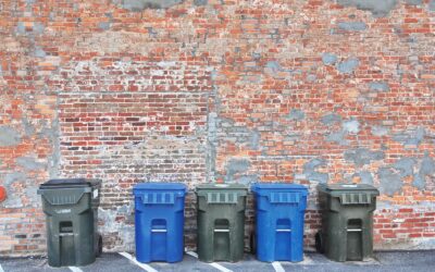 Innovative Strategies for Sustainable Waste Disposal