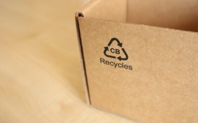 Recycling 101: How Smart Sorting Can Help Schools