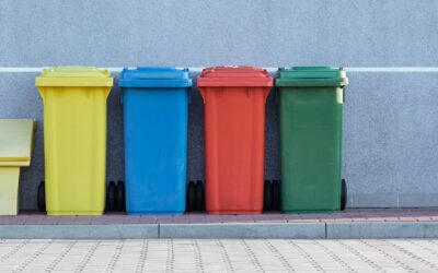 The Power of Recycling: A Look at the Smart Sort Method