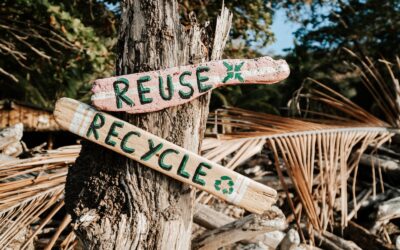 The Ultimate Guide to Recycling with Smart Sort: Reduce, Reuse, and Recycle!